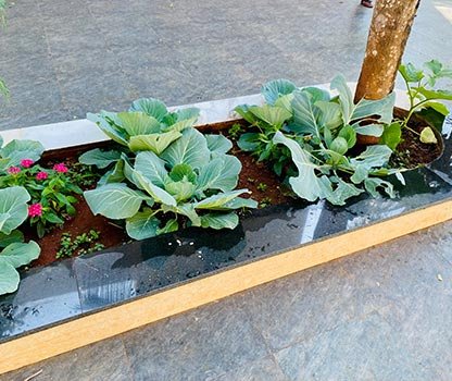 GPV Village Resort Gallery