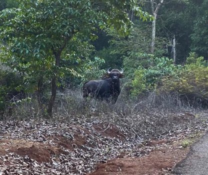 GPV Village Resort Gallery