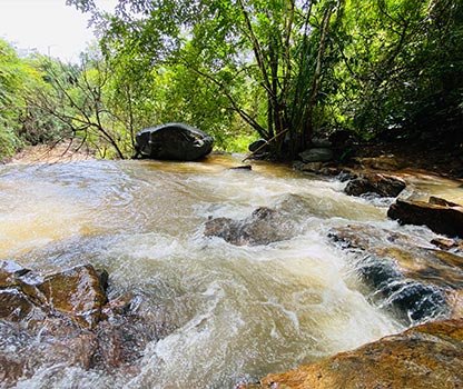 GPV Village Resort Gallery