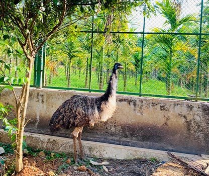 GPV Village Resort Gallery